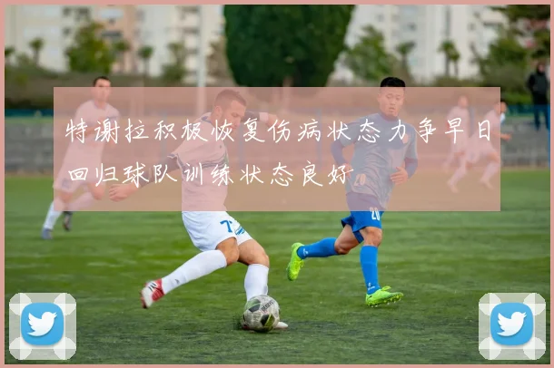 特谢拉积极恢复伤病状态力争早日回归球队训练状态良好